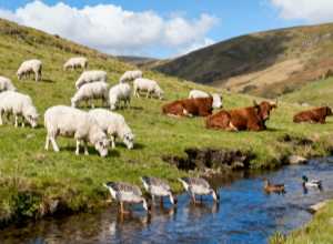 科研驱动发展质量全程可追溯*